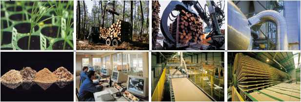 Quy trình sản xuất gỗ mdf